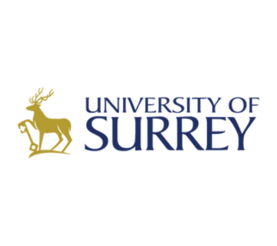 University of Surrey｜薩里大學