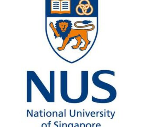 National University of Singapore ｜新加坡國立大學